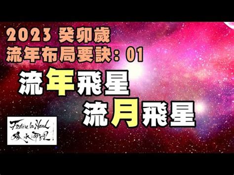 2023年流月飛星